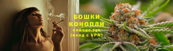трава Новодвинск