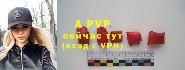 крисы Аркадак