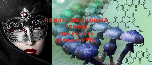 ECSTASY Новозыбков