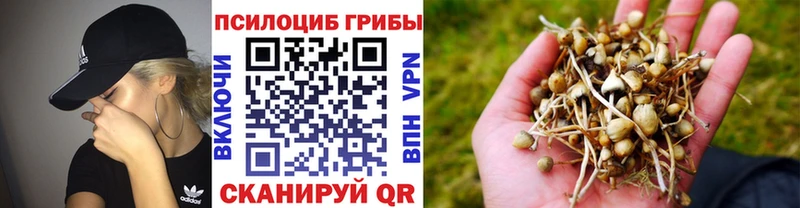 нарко площадка какой сайт  купить закладку  Прохладный  Псилоцибиновые грибы мицелий 